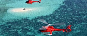 Antigua VC Bird: аренда частного самолета 