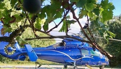 Гастрономические эскапады на вертолете