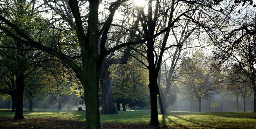 Londres jardin