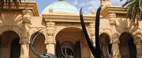 Йоханнесбург: аренда частного самолета 