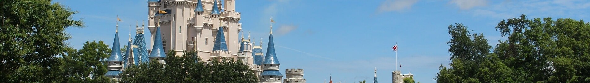 Орландо : аренда частного самолета 