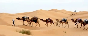 Тунис: аренда частного самолета