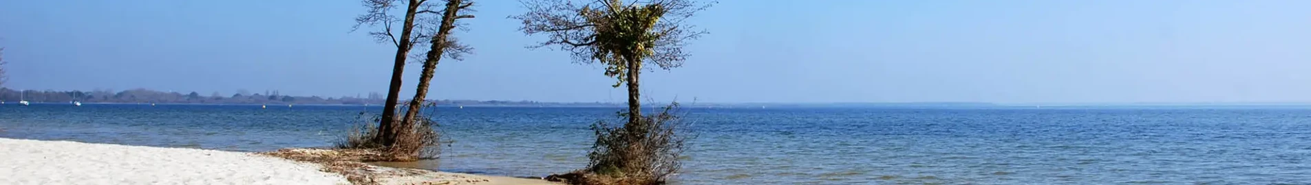 База Aérienne Cazaux: аренда частного самолета 