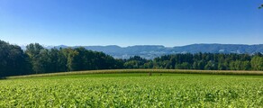 Дюбендорф: аренда частного самолета 