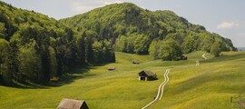 Давос: аренда частного самолета 