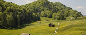 Гранж: аренда частного самолета 