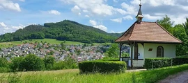 Эрфурт : аренда частного самолета 