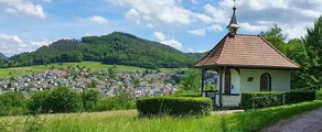 Лар Шварцвальд: аренда частного самолета 