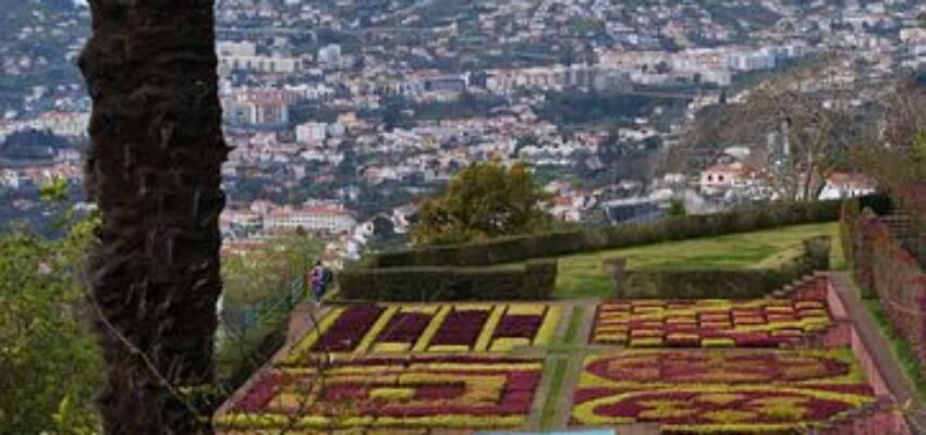 Jardin Botanique, Funchal île de Madère.
