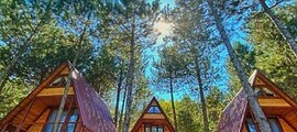 Нюрнберг: аренда частного самолета 