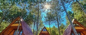 Менген Хохентенген: аренда частного самолета 