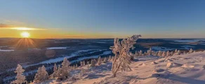 Арвидсъяур : аренда частного самолета