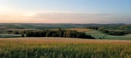 Санкт-Петербург: аренда частного самолета 