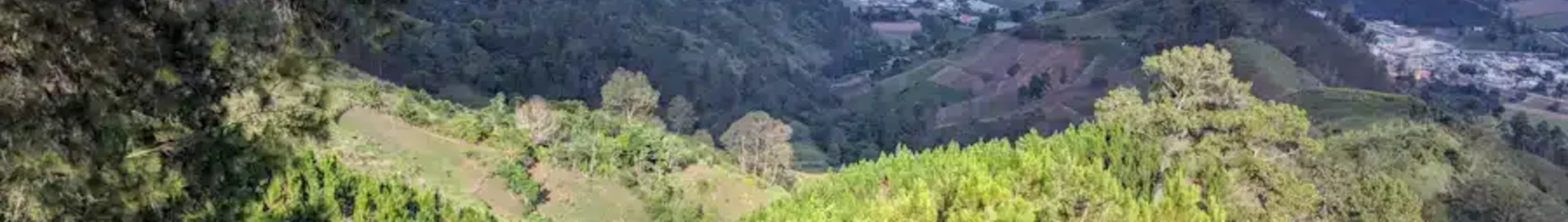 Констанца: аренда частного самолета