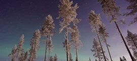 Умео: аренда частного самолета