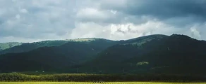 Геленджик : аренда частного самолета