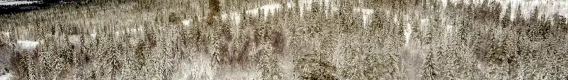 Хагфорс : аренда частного самолета
