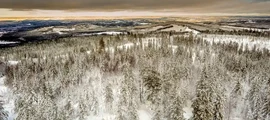Стокгольм Скавста: аренда частного самолета