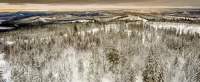 Хагфорс : аренда частного самолета