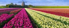 Hoogeveen : месторасположение частного самолета