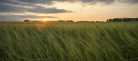 Чебоксары : аренда частного самолета