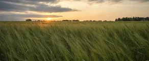 Кемерово: аренда частного самолета