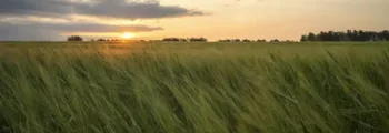 Landskrona Viarp : location de jet privé