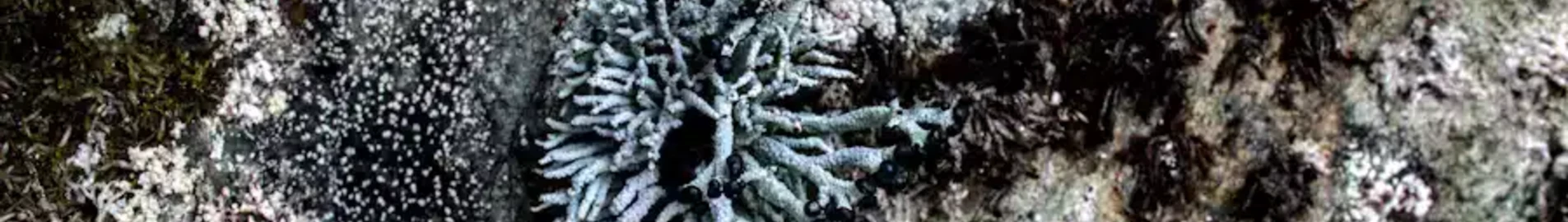 Ханты-Мансийск : аренда частного самолета