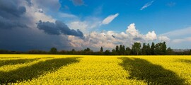 Харьков Основа : аренда частного самолета