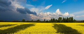 Хмельницкий : аренда частного самолета