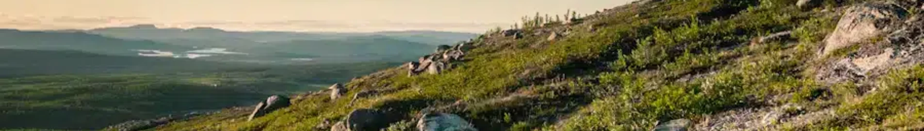 Кируна: аренда частного самолета