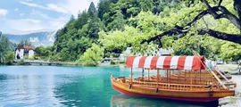 Черкле : аренда частного самолета