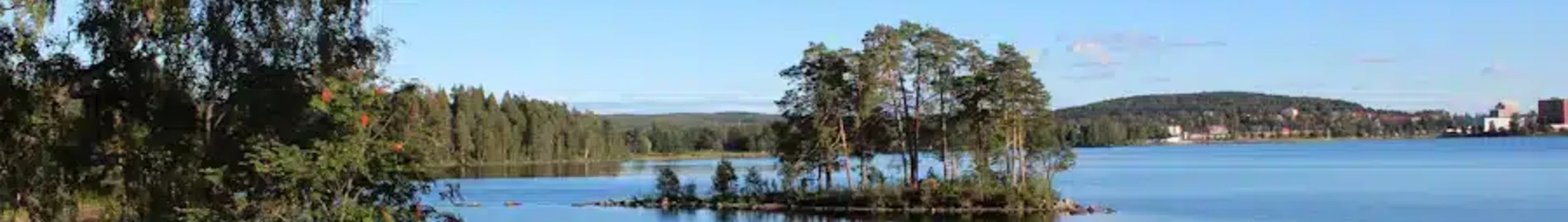 Людвика: аренда частного самолета