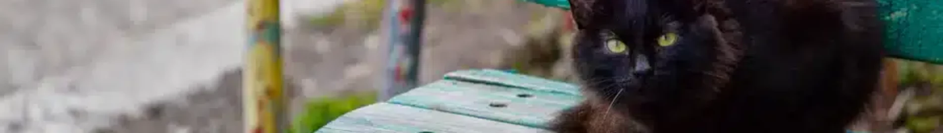 Нижнекамск Бегишево : аренда частного самолета