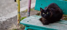 Москва: аренда частного самолета 
