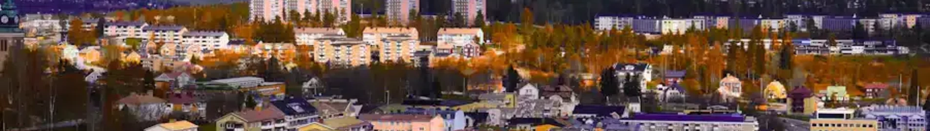 Орнскольдсвик : аренда частного самолета