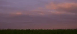 Ровно: аренда частного самолета