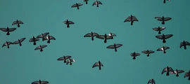 Мурманск: аренда частного самолета