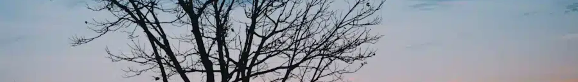Саратов Центральный : аренда частного самолета