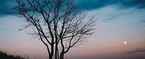 Саратов Центральный : аренда частного самолета
