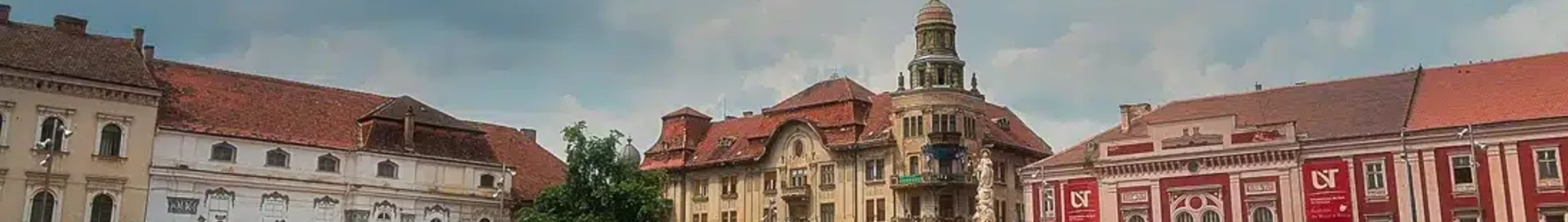 Сату-Маре: аренда частного самолета