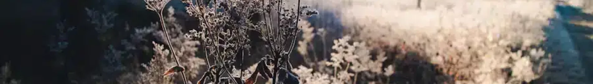 Содерхамн Хельсинге: аренда частного самолета