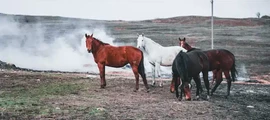 Якутск : аренда частного самолета