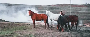 Ставрополь Шпаковское : аренда частного самолета
