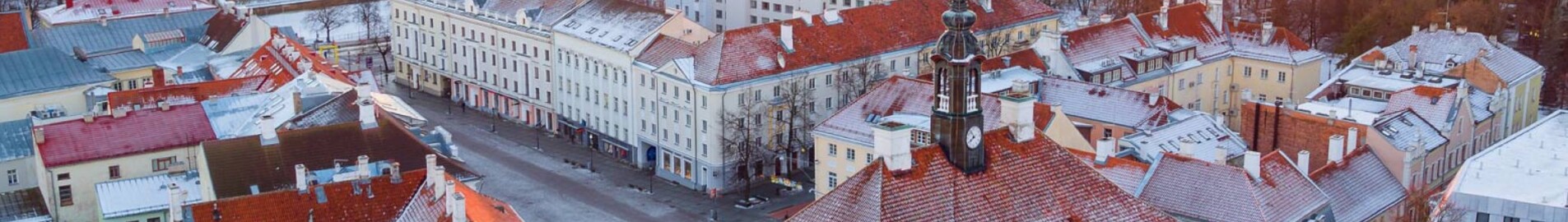 Тарту: аренда частного самолета 