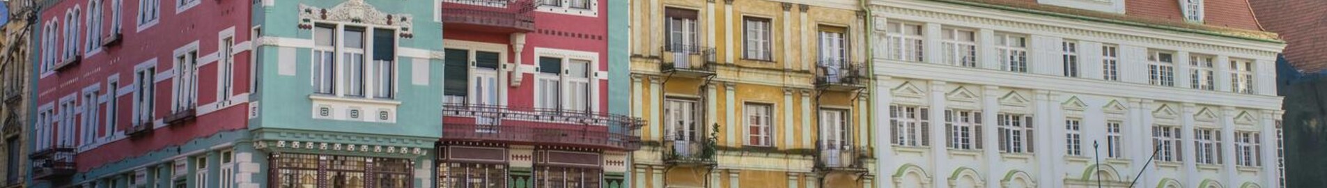 Тимишоара Траян Вуя : аренда частного самолета 