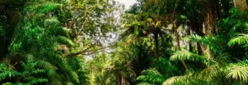 trinidad et tobago : Location de jet privé