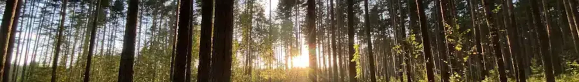 Тверь Мигалово: аренда частного самолета