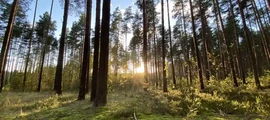 Казань: аренда частного самолета