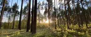Тверь Мигалово: аренда частного самолета